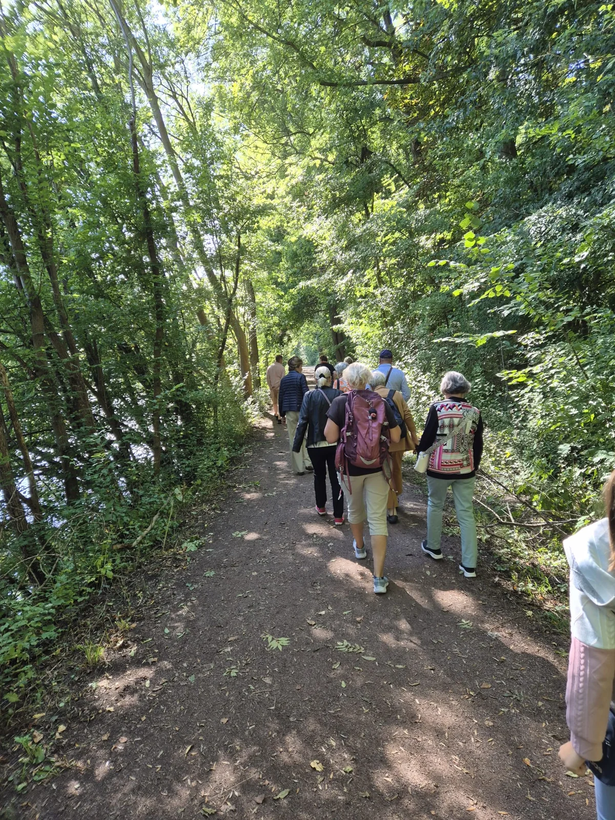 Gemeinsam auf dem Waldweg an der Rabeninsel: unsere Spaziergangsgruppe am 6. September 2026
